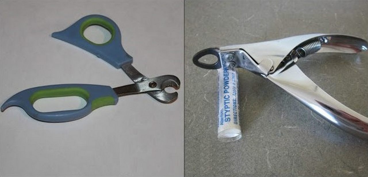 Специальные инструменты для обрезания шпор, фото